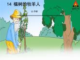 植树的牧羊人第二课时课件PPT