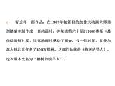 植树的牧羊人第一课时课件PPT