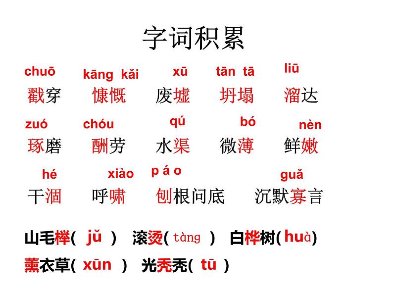 植树的牧羊人第一课时课件PPT第8页