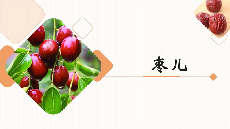 第五单元《枣儿》课件1 初中语文人教部编版（五四制）九年级下册（2022）第1页