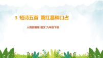 2021学年第一单元3 *短诗五首萧红墓畔口占/戴望舒图文ppt课件
