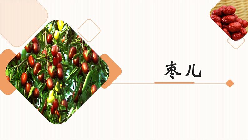 第五单元《枣儿》课件2 初中语文人教部编版（五四制）九年级下册（2022）01