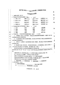 河南省洛宁县2021-2022学年七年级下学期期中考试语文试题（无答案）