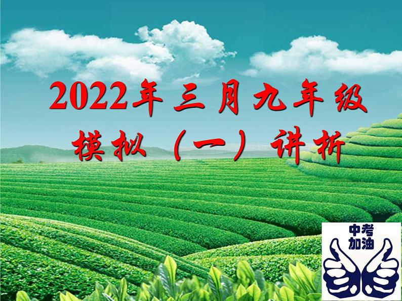 2022年河北省廊坊市中考模拟试题讲析课件第1页