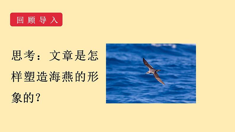 人教语文 9年级下册课件PPT第一单元 4 海燕（第二课时）教学课件第3页