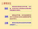 人教语文 9年级下册课件PPT第一单元 4 海燕（第二课时）教学课件
