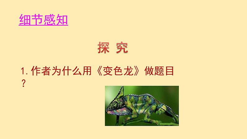 人教语文 9年级下册课件PPT第二单元 6 变色龙（第二课时）教学课件第8页