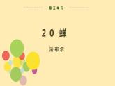 人教语文 8年级上册课件PPT第五单元 第20课  蝉