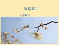 人教部编版七年级下册15 驿路梨花教学演示ppt课件