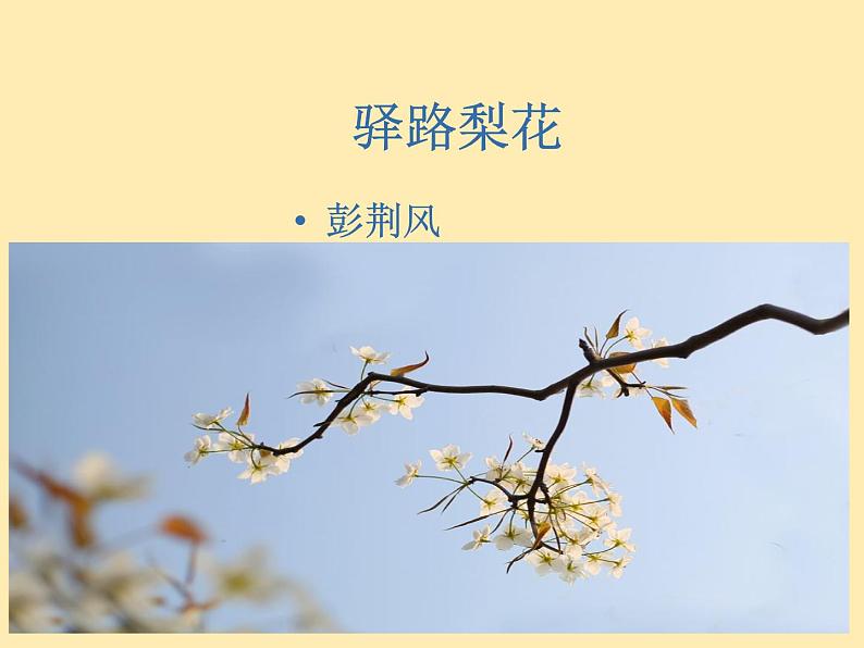 人教语文 7年级下册课件PPT15 驿路梨花第1页