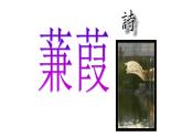 第12课《蒹葭》课件2021-2022学年部编版语文八年级下册 (1)