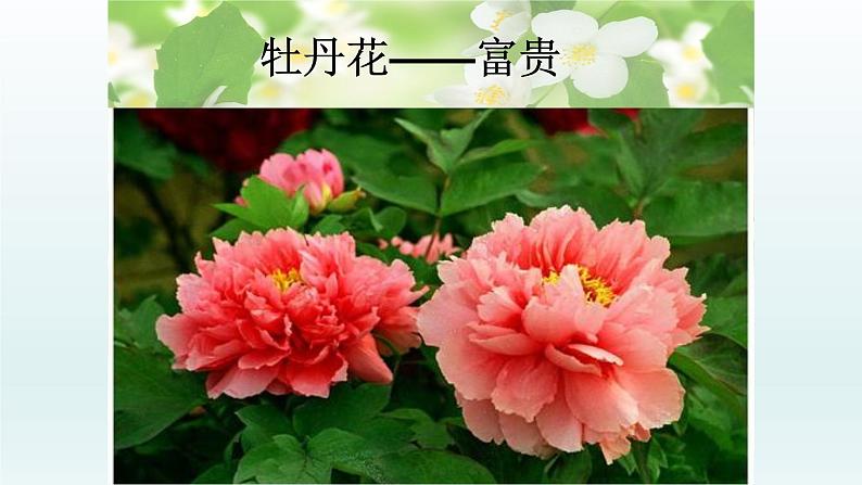 第15课《驿路梨花》课件2021-2022学年部编版语文七年级下册 (1)第3页