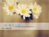 八年级上册语文课件PPT15 散文二篇