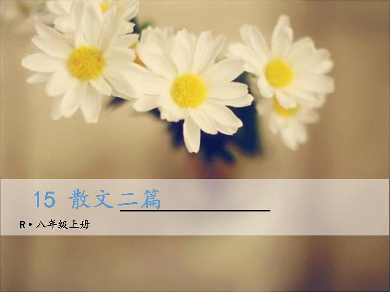 八年级上册语文课件PPT15 散文二篇第1页
