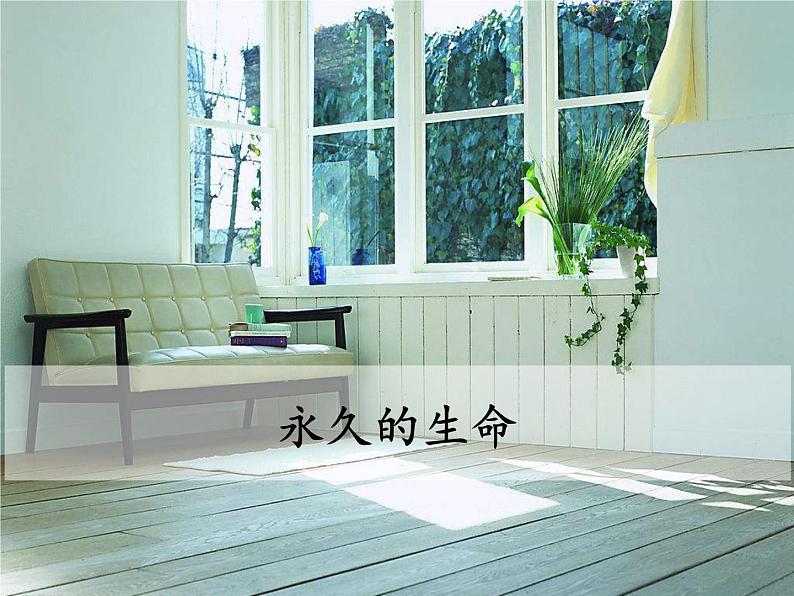 八年级上册语文课件PPT15 散文二篇第2页