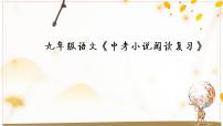 2022年中考语文专题复习-小说复习课件（18张PPT）