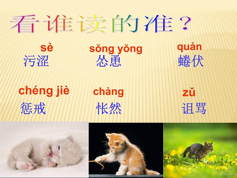 猫课件1第一课时第8页