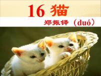 初中语文人教部编版七年级上册16 猫图文课件ppt