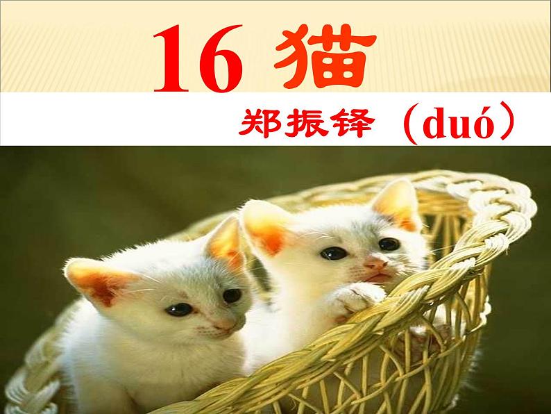 猫课件2第二课时01