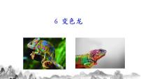 初中第二单元6 变色龙试讲课课件ppt