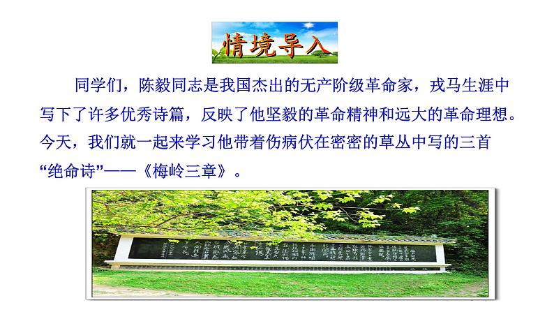九年级下册 2梅 岭 三 章 课件02