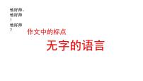 2022年中考语文复习备考专项：标点符号的书写及使用课件（共42张PPT）