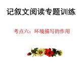 中考语文--记叙文考点专题训练 考点六：环境描写的作用 课件