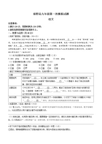 2022年河南省新野县中考一模语文试题