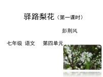 人教部编版15 驿路梨花课堂教学ppt课件
