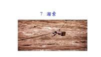 人教部编版九年级下册7* 溜索教学课件ppt