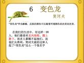 变色龙教学课件