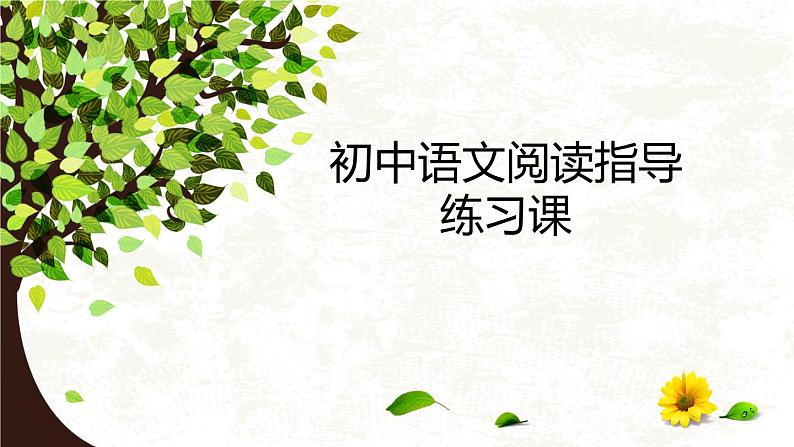 初中语文阅读联系指导课练习12到15答案课件PPT第1页