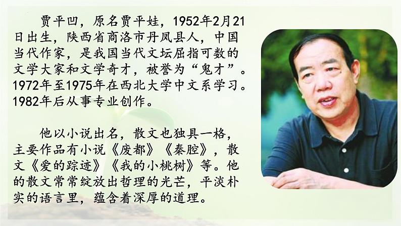 第19课《一棵小桃树》课件（共31张PPT）部编版语文七年级下册第4页