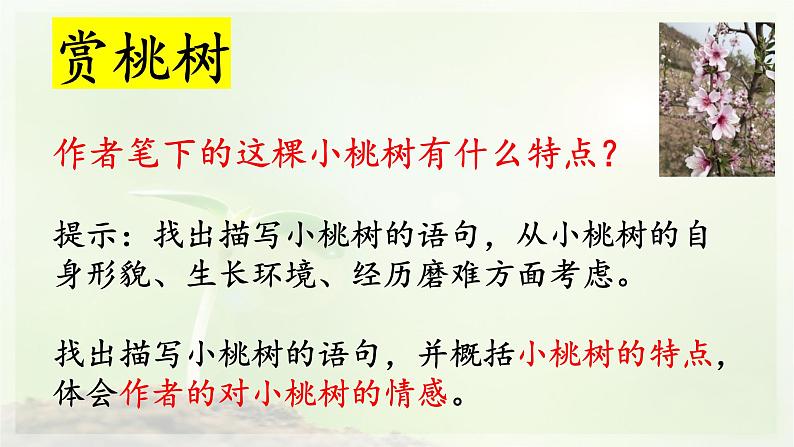 第19课《一棵小桃树》课件（共31张PPT）部编版语文七年级下册第5页