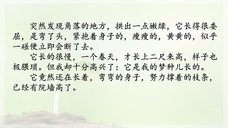 第19课《一棵小桃树》课件（共31张PPT）部编版语文七年级下册第6页