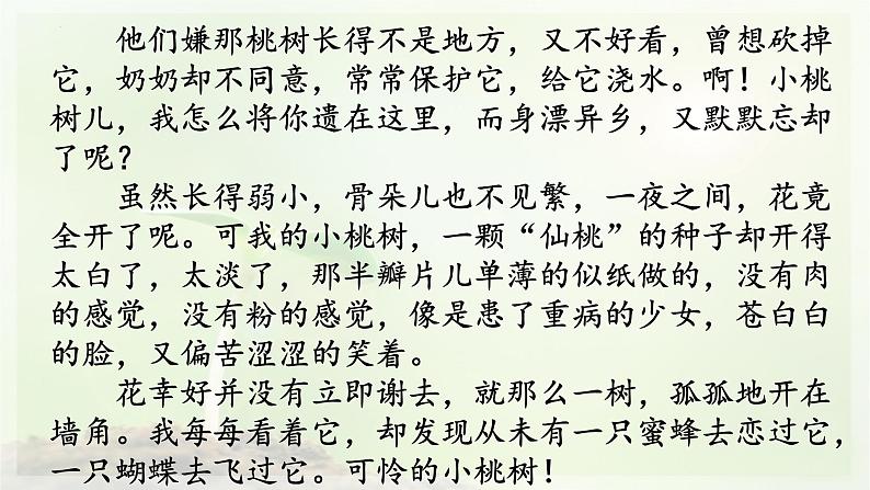 第19课《一棵小桃树》课件（共31张PPT）部编版语文七年级下册第7页