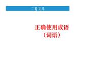 2022年中考语文二轮专项备考：正确使用成语（词语）课件（共27张PPT）