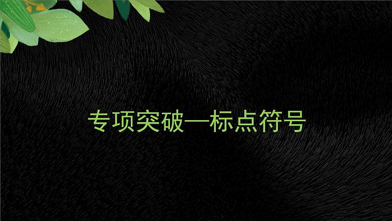2022年中考语文二轮专题复习：标点符号（共40张PPT）第1页