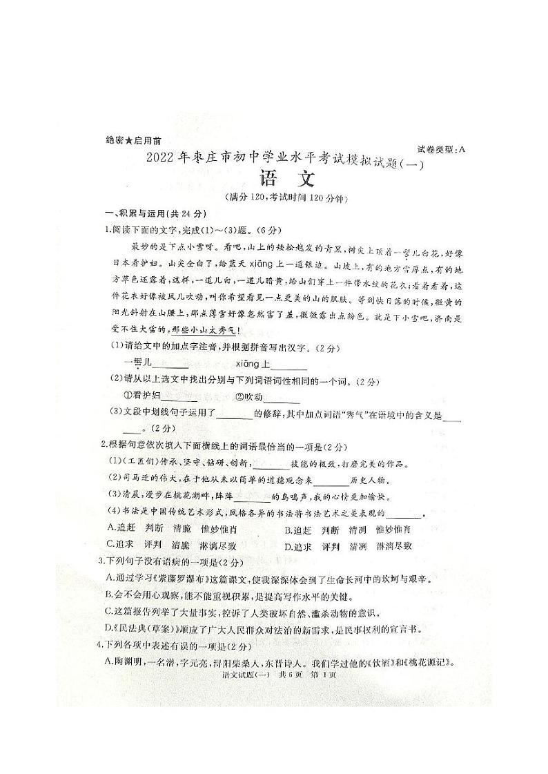 2022年山东省枣庄市中考一模语文试题01