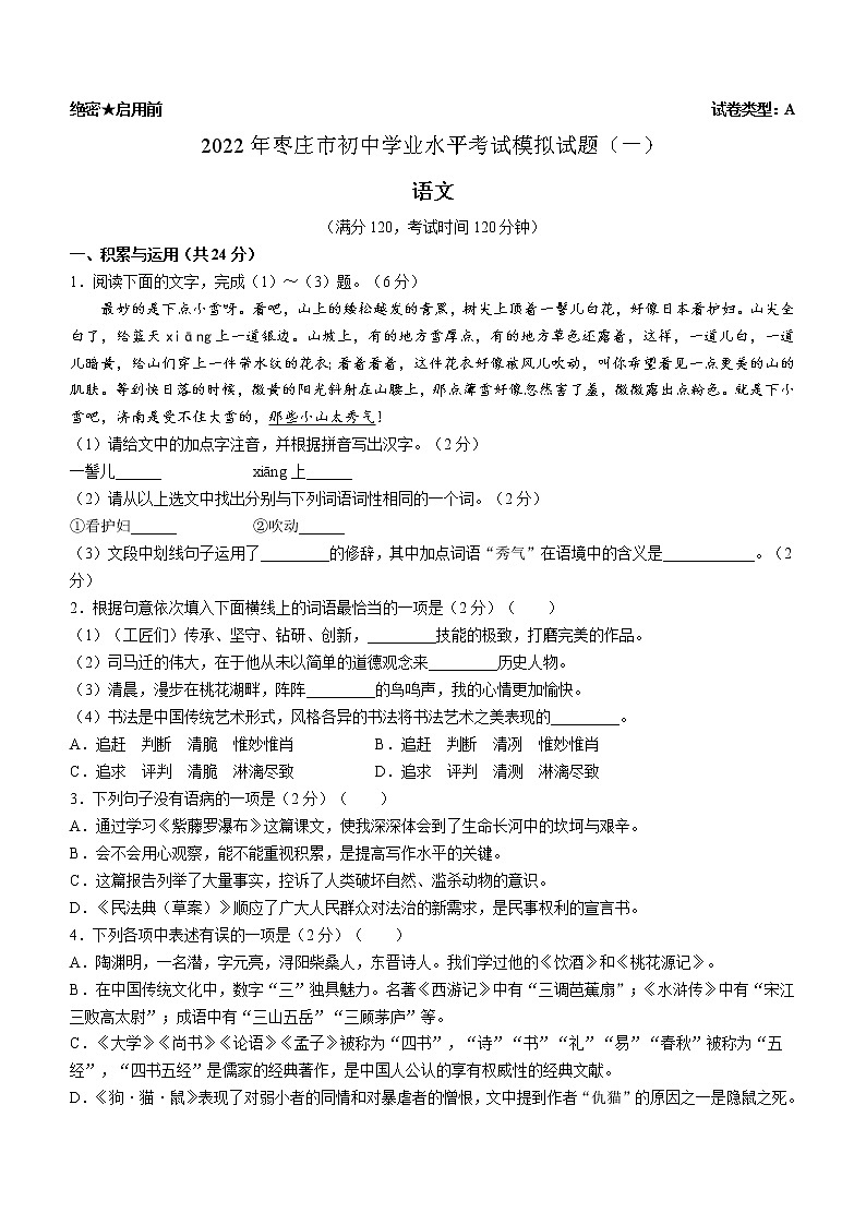 2022年山东省枣庄市中考一模语文试题01