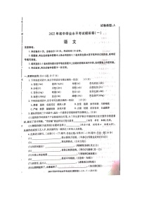 2022年陕西省韩城市新城区第四初级中学中考一模语文试题