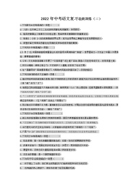 2022年中考语文复习语病训练二