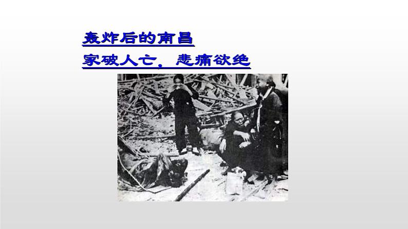 初中语文 人教2011课标版（部编）九年级上册 《我爱这土地》 课件第7页