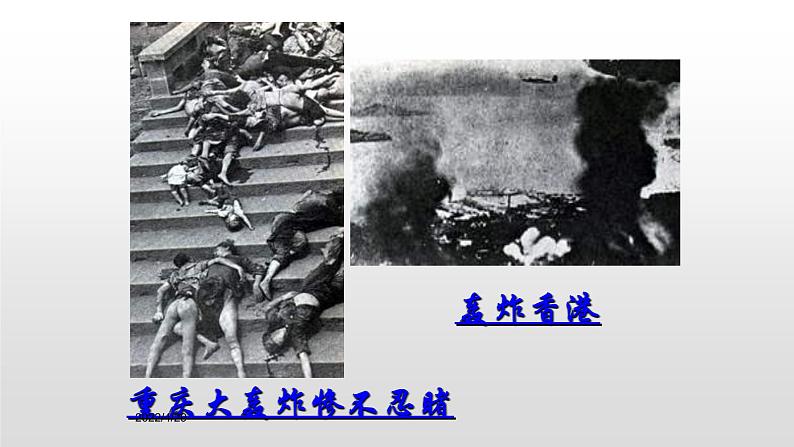 初中语文 人教2011课标版（部编）九年级上册 《我爱这土地》 课件第8页