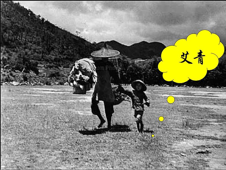 初中语文 人教2011课标版（部编）九年级上册 我爱这土地 课件第3页