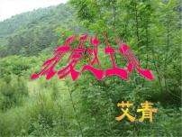 人教部编版九年级上册第一单元3 我爱这土地图片课件ppt