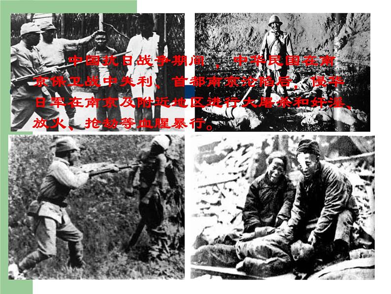 初中语文 人教2011课标版（部编）九年级上册 我爱这土地 课件(1)04