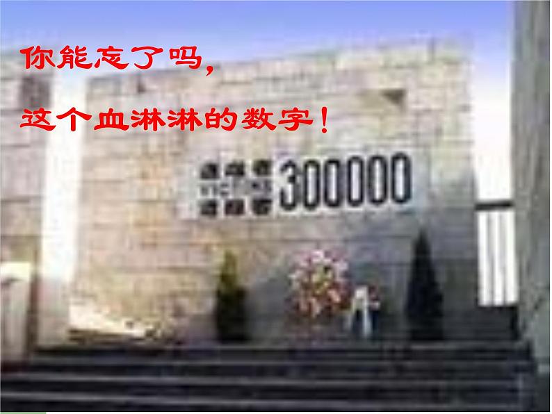初中语文 人教2011课标版（部编）九年级上册 我爱这土地 课件(1)06