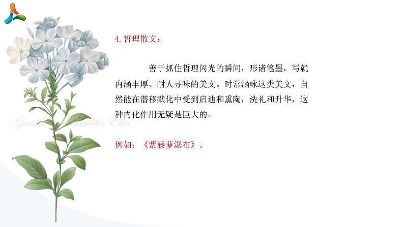散文阅读-备战2022年中考语文三轮冲刺精准点击课件PPT08