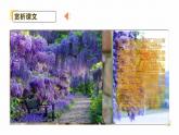《紫藤萝瀑布 》课件、教案、简案、反思